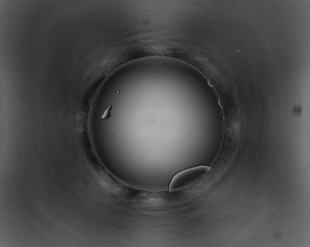X0000101960658200807181042