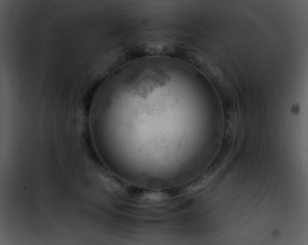 X0000101960659200807181042