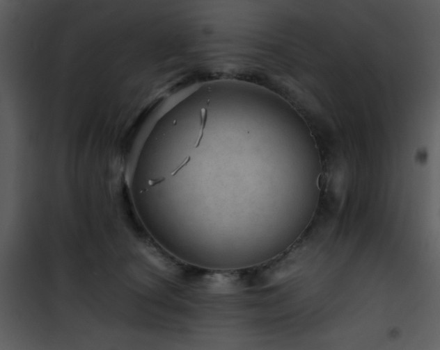 X0000101960660200807181042