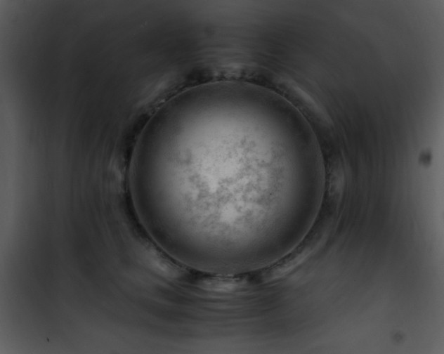 X0000101960661200807181042