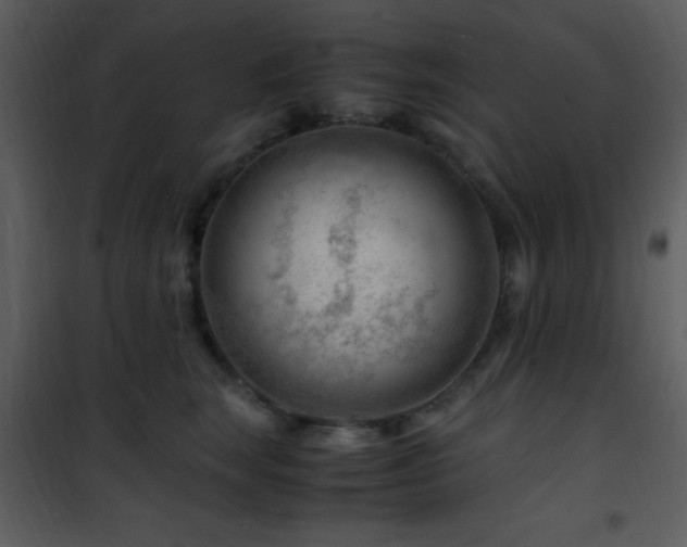 X0000101960663200807181042