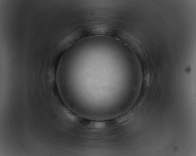 X0000101960665200807181042
