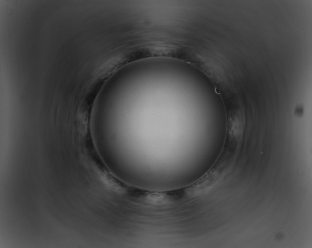 X0000101960666200807181042
