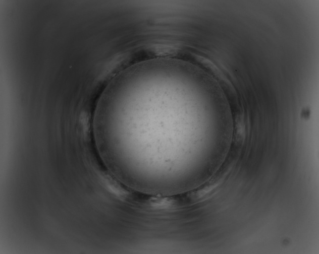 X0000101960667200807181042