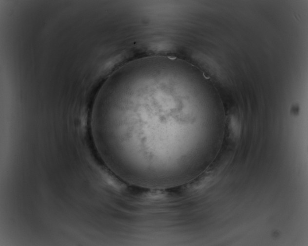 X0000101960668200807181042