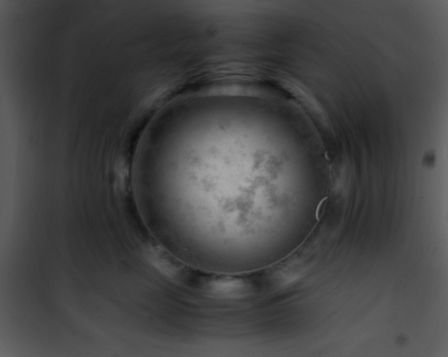 X0000101960669200807181042