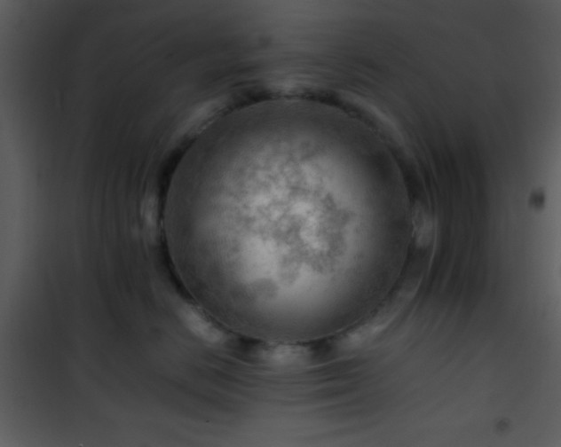 X0000101960670200807181042