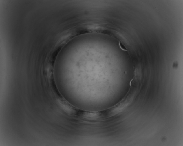 X0000101960671200807181042