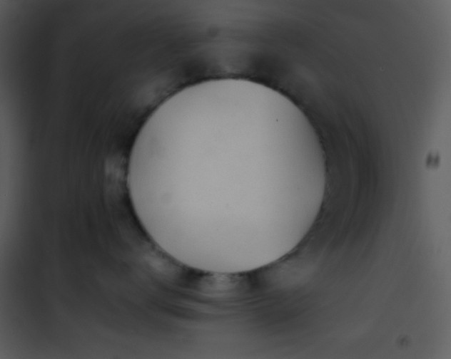 X0000101960672200807181042