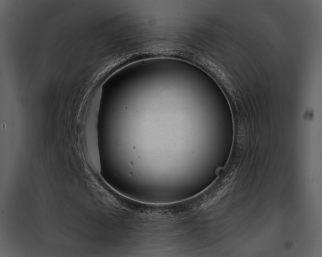 X0000101960673200807181041