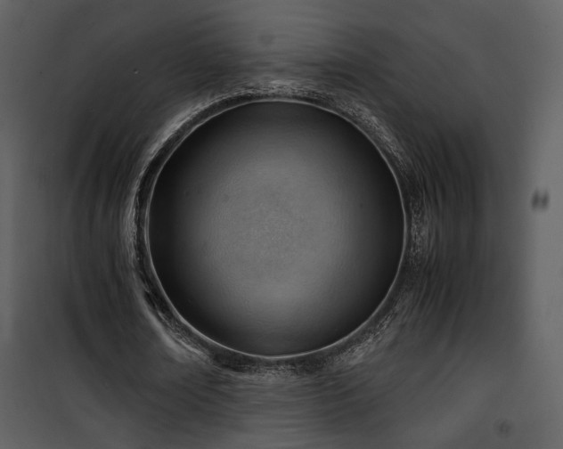X0000101960674200807181041