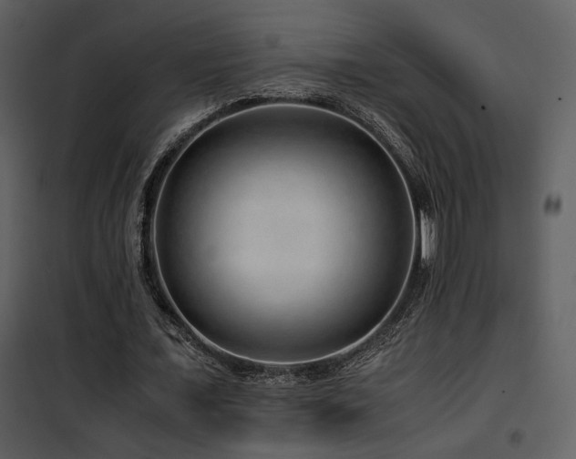 X0000101960675200807181041