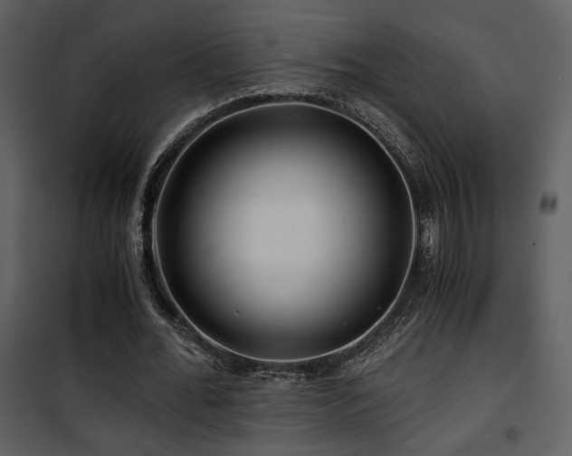 X0000101960676200807181041