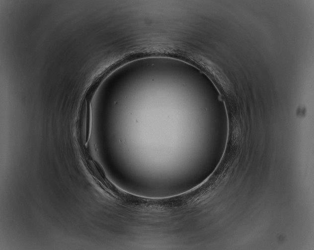 X0000101960677200807181041