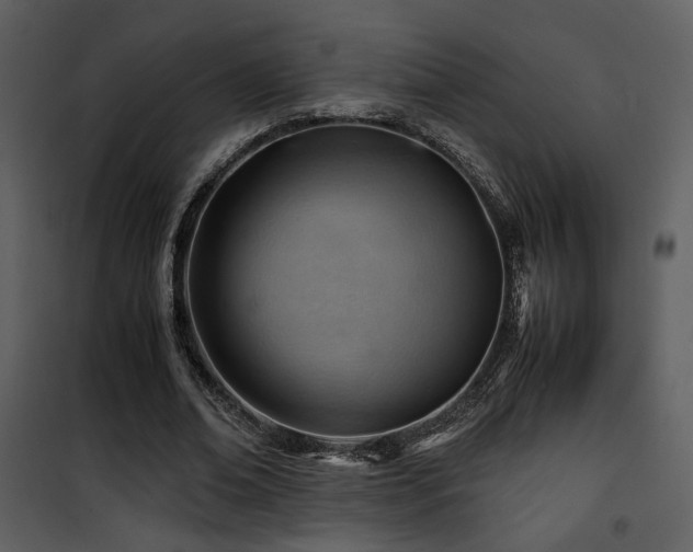 X0000101960678200807181041
