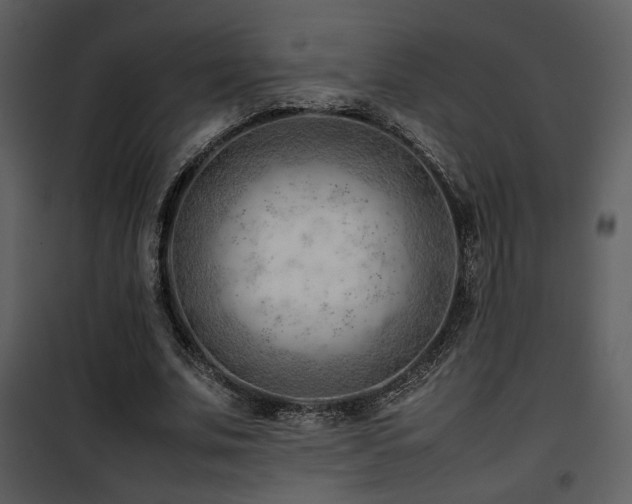 X0000101960679200807181041