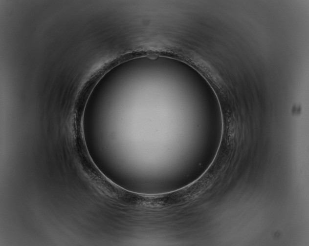 X0000101960680200807181041