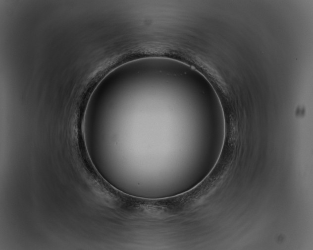 X0000101960681200807181041