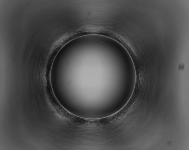 X0000101960682200807181041