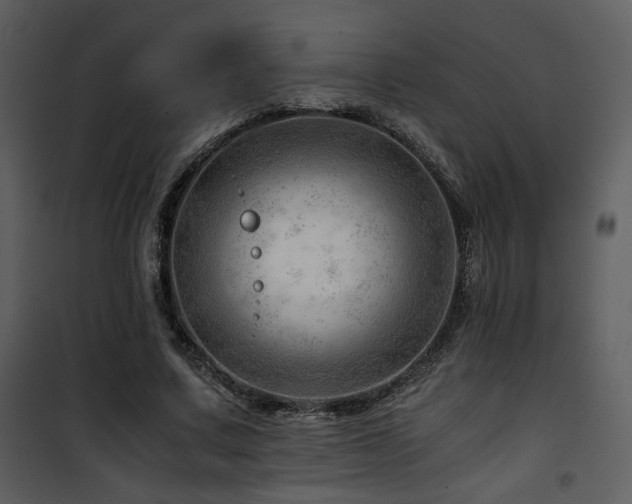 X0000101960683200807181041
