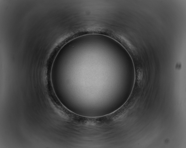 X0000101960684200807181041