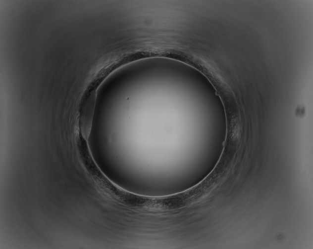 X0000101960685200807181041