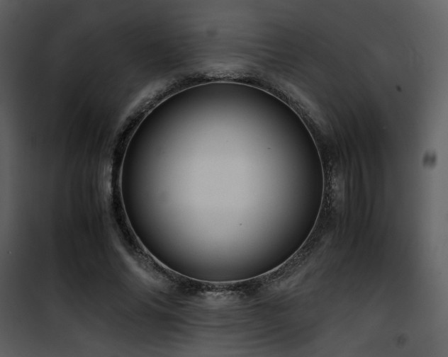 X0000101960686200807181041