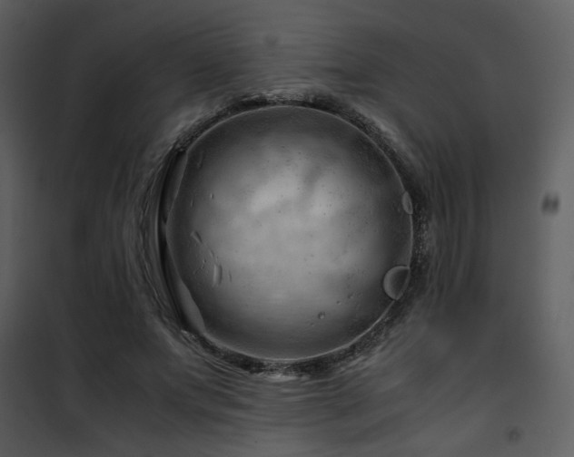 X0000101960687200807181041