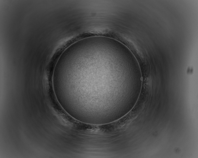 X0000101960688200807181041