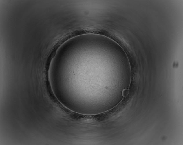 X0000101960689200807181041