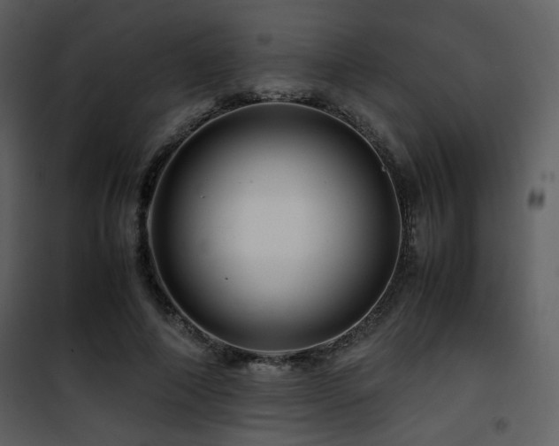 X0000101960690200807181041