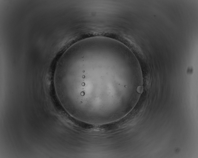 X0000101960691200807181041