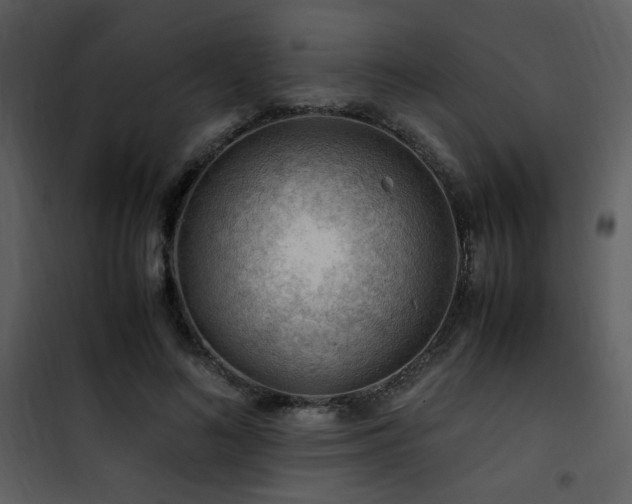 X0000101960692200807181041