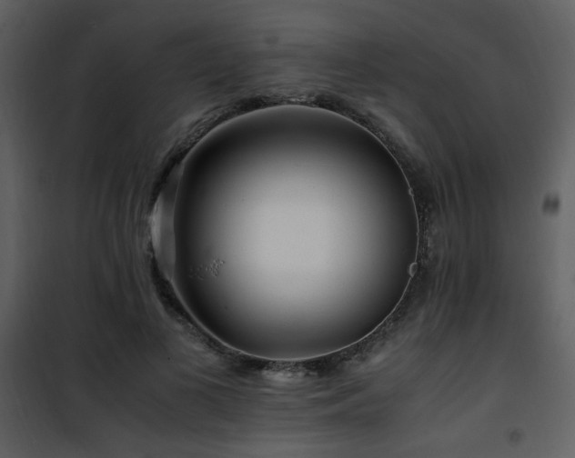 X0000101960693200807181041