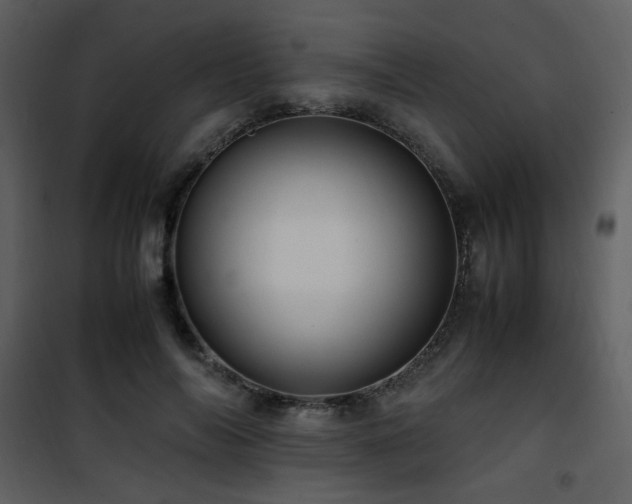X0000101960694200807181041