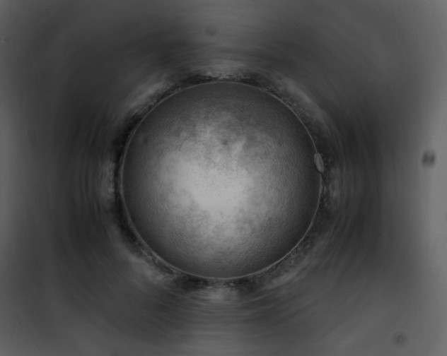 X0000101960696200807181041