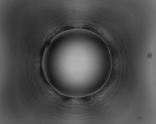 X0000101960697200807181041