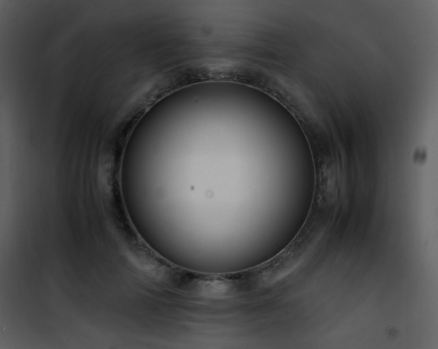 X0000101960698200807181041