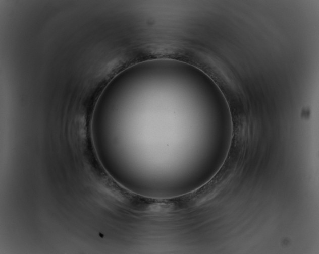 X0000101960700200807181041