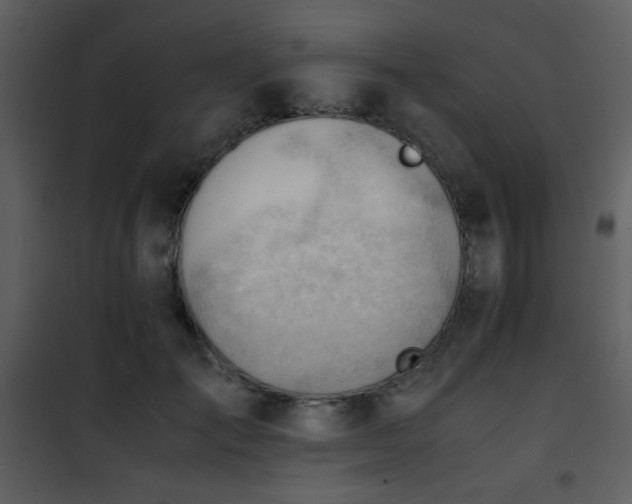 X0000101960701200807181041