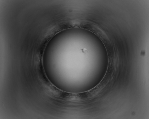 X0000101960702200807181041