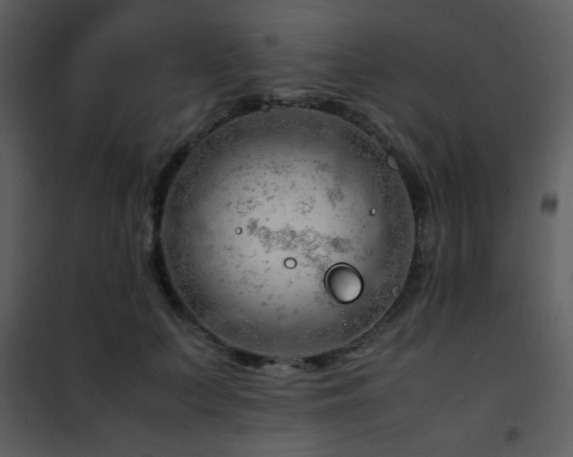 X0000101960703200807181041