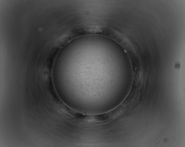 X0000101960704200807181041