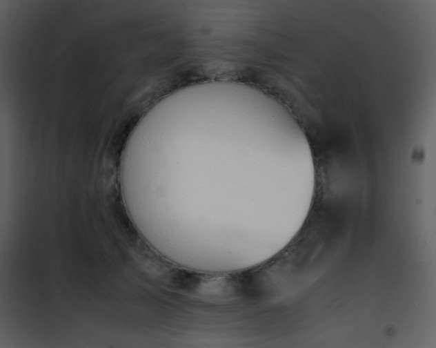 X0000101960705200807181041