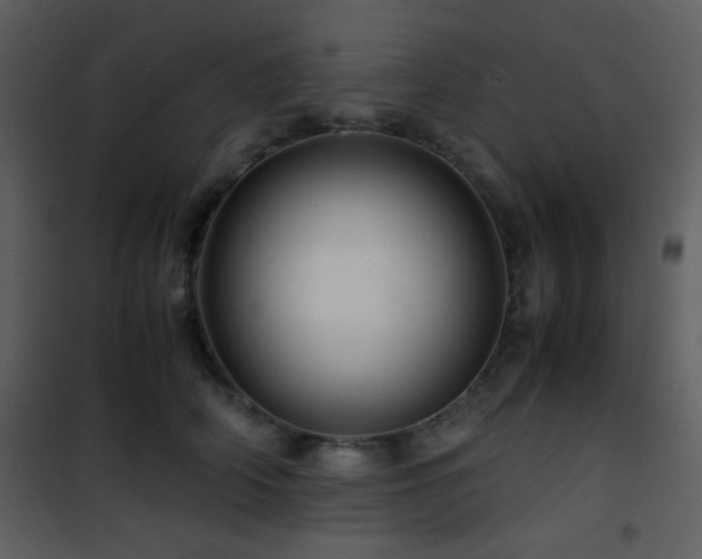 X0000101960706200807181041