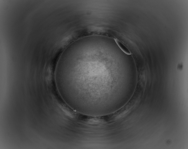 X0000101960708200807181041