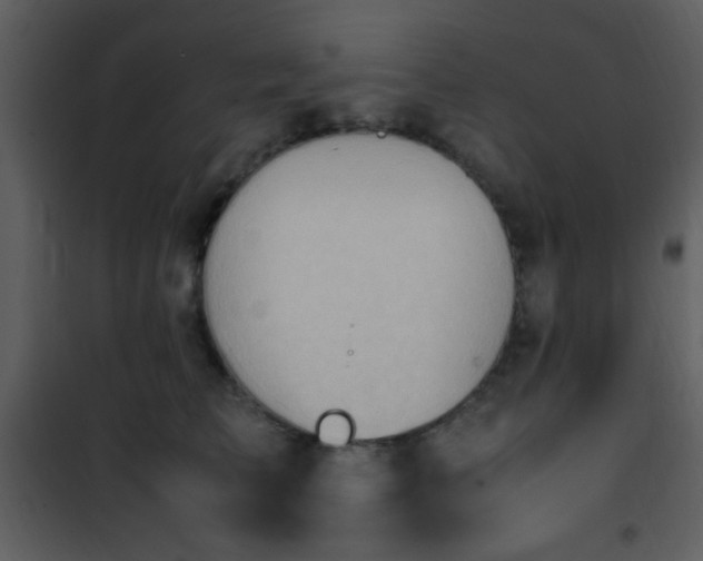 X0000101960709200807181041