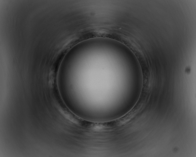 X0000101960710200807181041