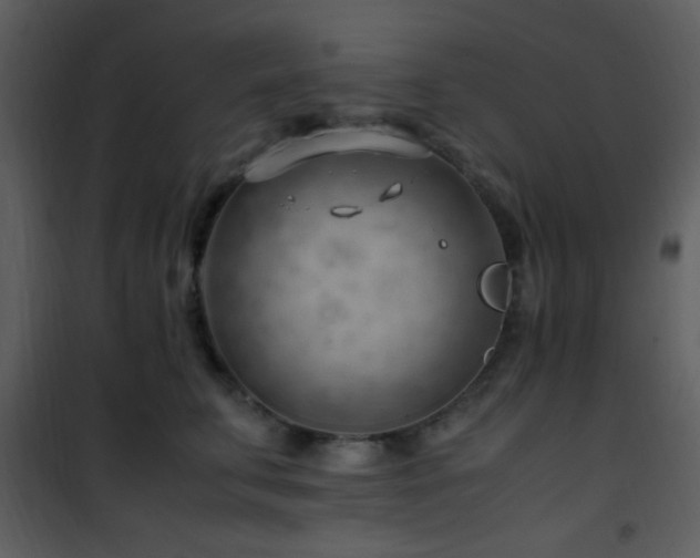 X0000101960711200807181041