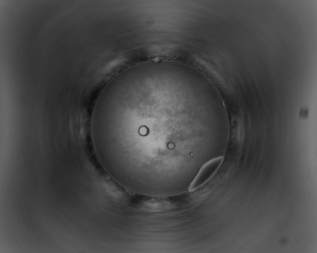 X0000101960712200807181041